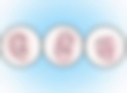 常见问题解答(FAQ)