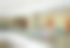 擅长项目详解