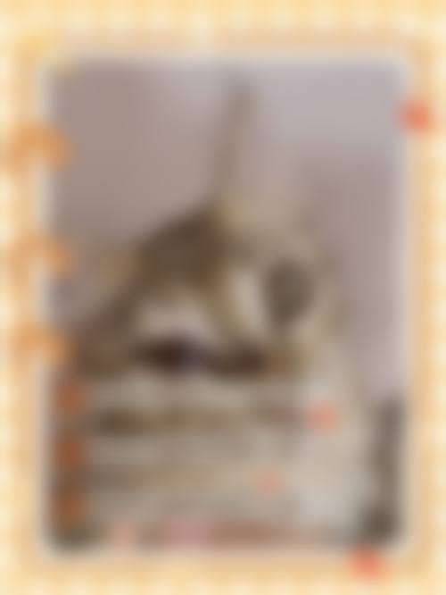 选择德城靓目,守护清晰视界