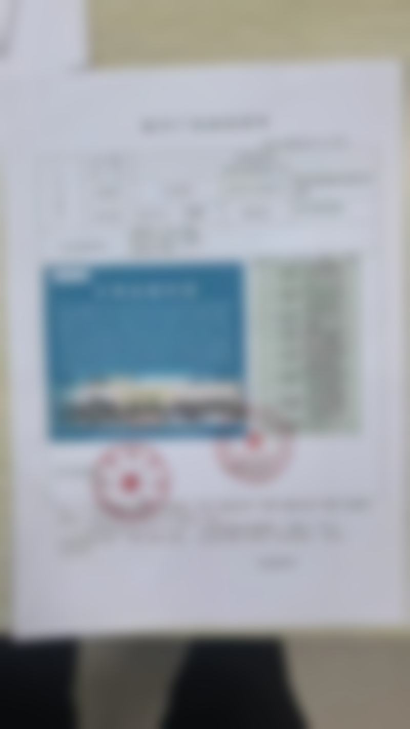 擅长项目详解