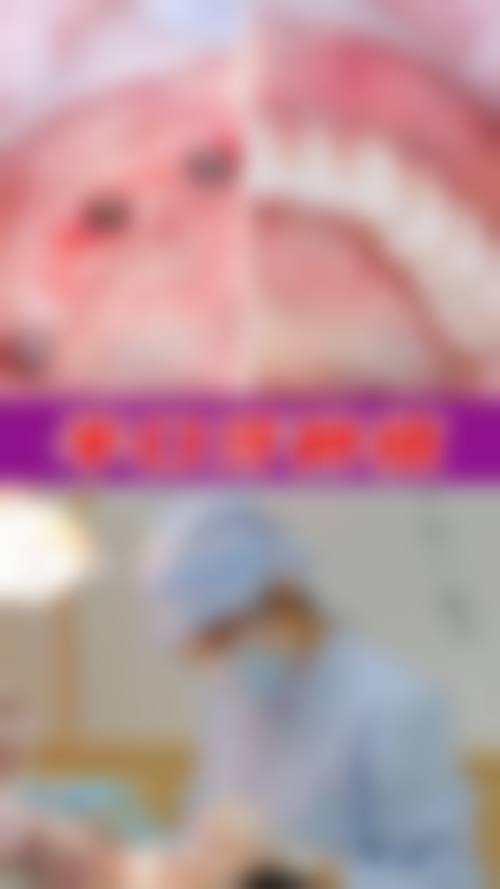 擅长项目详解
