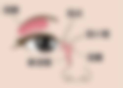 特色科室与诊疗项目:覆盖全眼健康需求