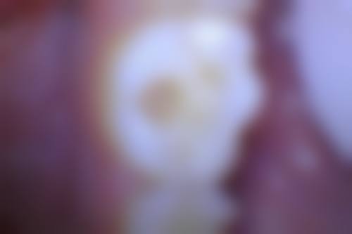 结尾预约号召