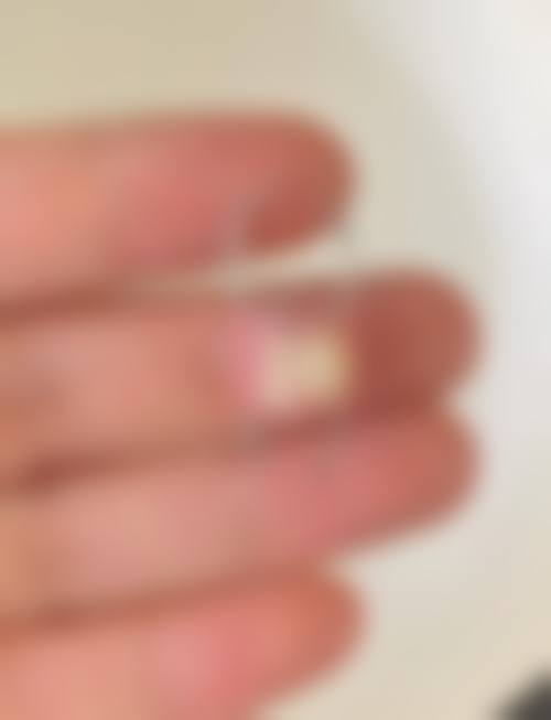 预约优惠活动