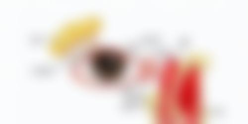 预约优惠活动