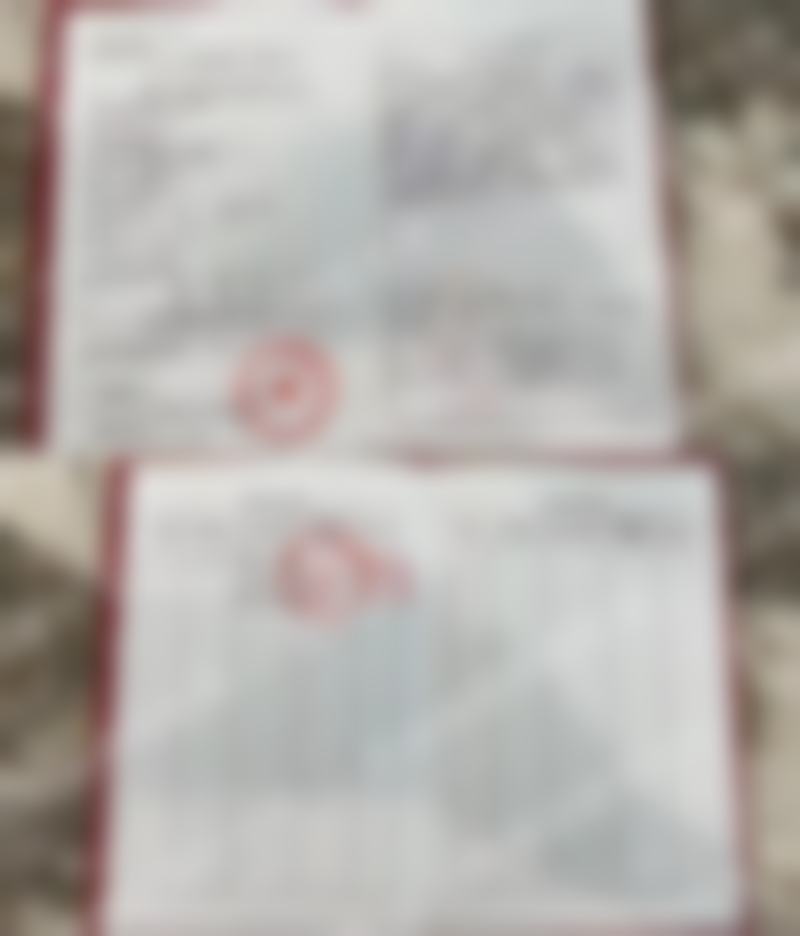 擅长项目详解