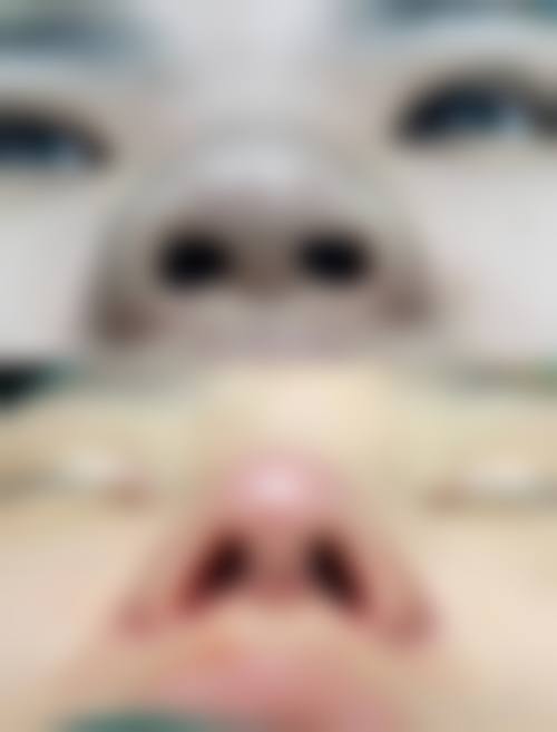擅长项目详解