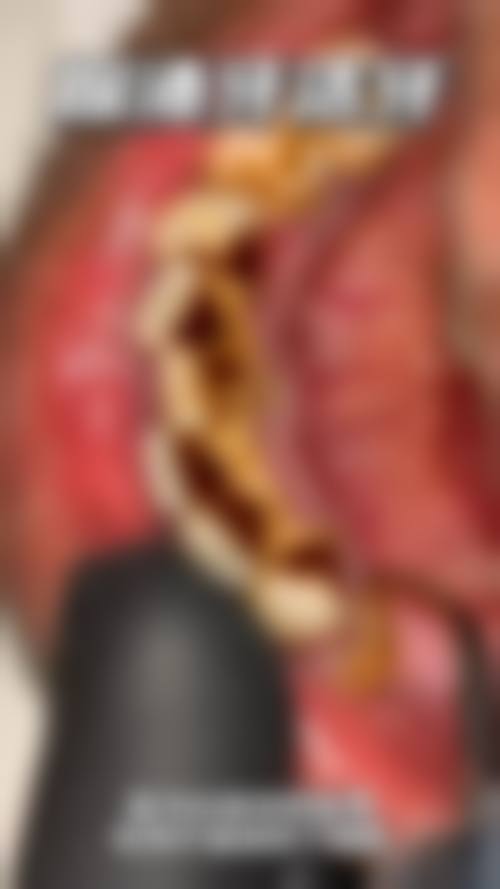 FAQ:常见问题解答