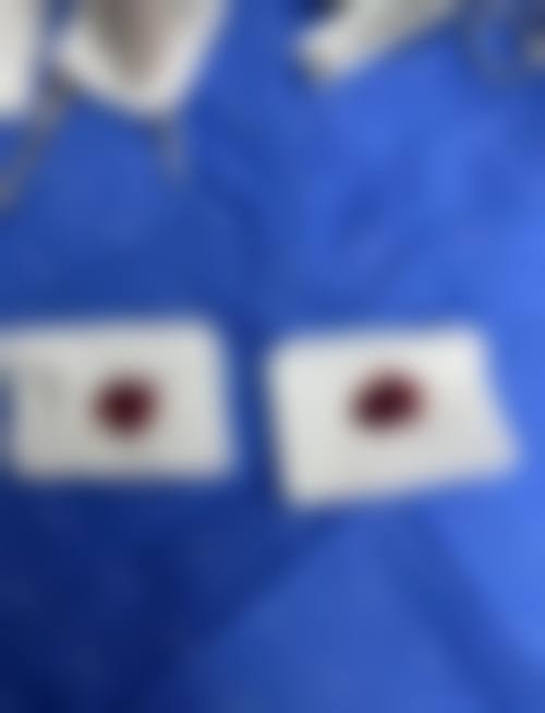 擅长项目详解
