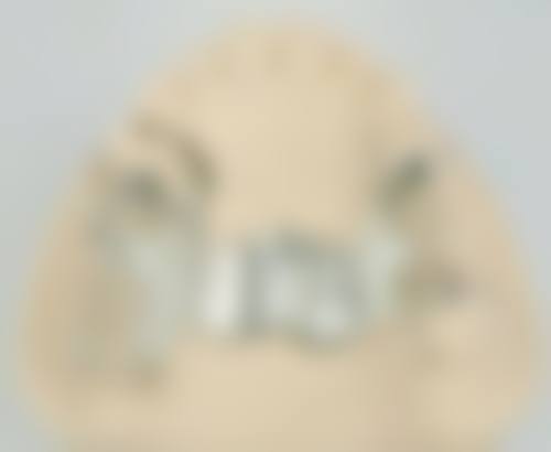 FAQ:解答您的其他疑问
