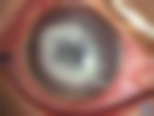 设备环境介绍——精细检测,无菌操作